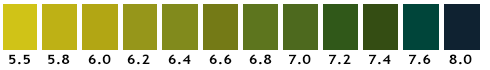 5-5 - 8-0 pH Colour Chart.png