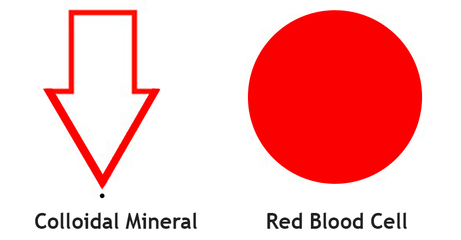 Comparing colloidal mineral and red blood cell size