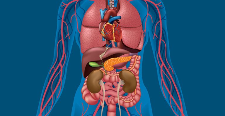 How to have a gall bladder flush using lemon juice and olive oil
