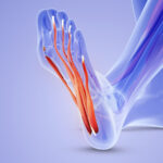 Say Goodbye To Foot Ankle Pain 3