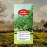 Unveiling the antioxidant power of percy's powder