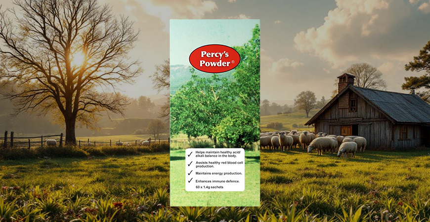 Unveiling the antioxidant power of percy's powder