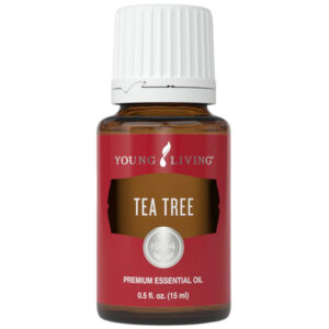 Young living tea tree premium essential oil